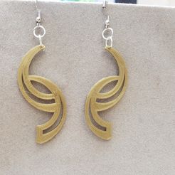 20180629_142327.jpg curved earrings