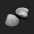 02_shell-6-3d-print-aquarium-3d-model-obj-fbx-stl.jpg Shell 6 - 3D Print - Aquarium - Sea Life