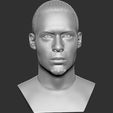 12.jpg Virgil van Dijk bust for 3D printing