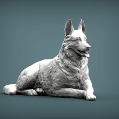 German-Shepherd1.jpg 3D-Datei Deutscher Schäferhund 3D-Druck Modell・Design zum Herunterladen und 3D-Drucken