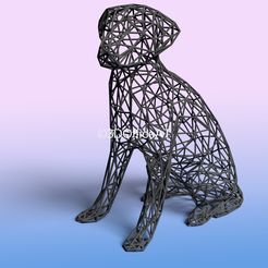 labrador.jpg Wired Labrador - 3D Wire Art