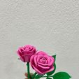 WhatsApp-Image-2026-02-12-at-04.13.53.jpeg Modular Rose  - Snap-Fit Design valentine day