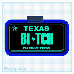 TX-Bitch-im-from-TX.png TX Plate Bitch Im from TX