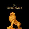 The-Asiatic-Lion-thumb.jpg The Asiatic Lion