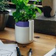 IMG_7787.jpg Self-Watering Planter (Small)