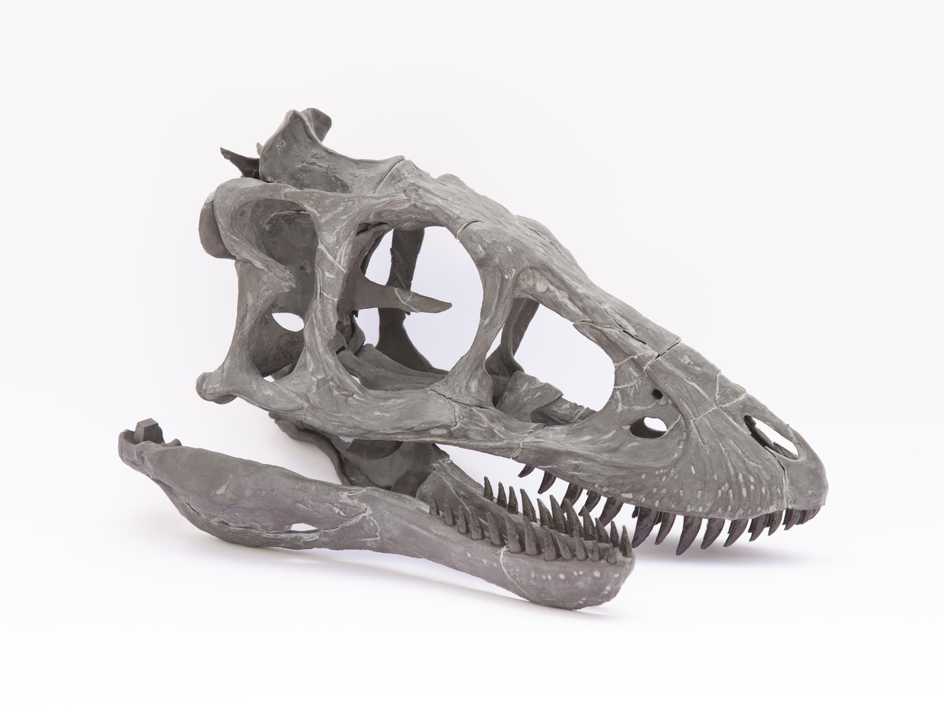 3D printed Life size baby T-rex skeleton - Part 01/10 • made with ...
