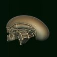 4.jpg Xenomorph Alien biomechanical head