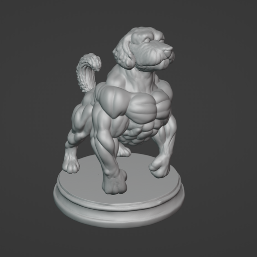 Schermafbeelding-2025-08-01-173844.png Steriod Labradoodle