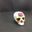 IMG_2818.jpg CALAVERITA