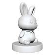 Rabbit4.jpg Rabbit