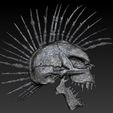 mesh.jpg Mohawk Skull