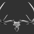 2023-01-08-2.png Megaloceros Deer skull