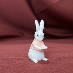 IMG_2640.jpg Файл 3D Кролик в рубашке 2・Шаблон для 3D-печати для загрузки