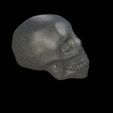 skullmciro0055.jpg skull
