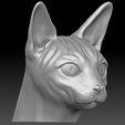 4.jpg Sphynx cat head for 3D printing