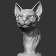 03.png Sphynx Cat Head AM08 3D print model