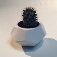 IMG_1993.jpg STL-Datei TRIO'PICAL・Design zum Herunterladen und 3D-Drucken