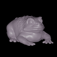 Toad-render-1.png Toad/Frog