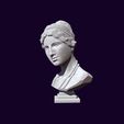31.jpg Bust of Aphrodite