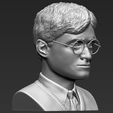 11.jpg Harry Potter bust ready for full color 3D printing