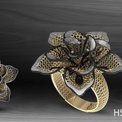 HSFZ-A022.jpg STL file Nokta Model Fusion Ring・3D printable model to download