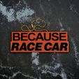 Because-Racecar-2.jpg Because Racecar Charm - JCreateNZ