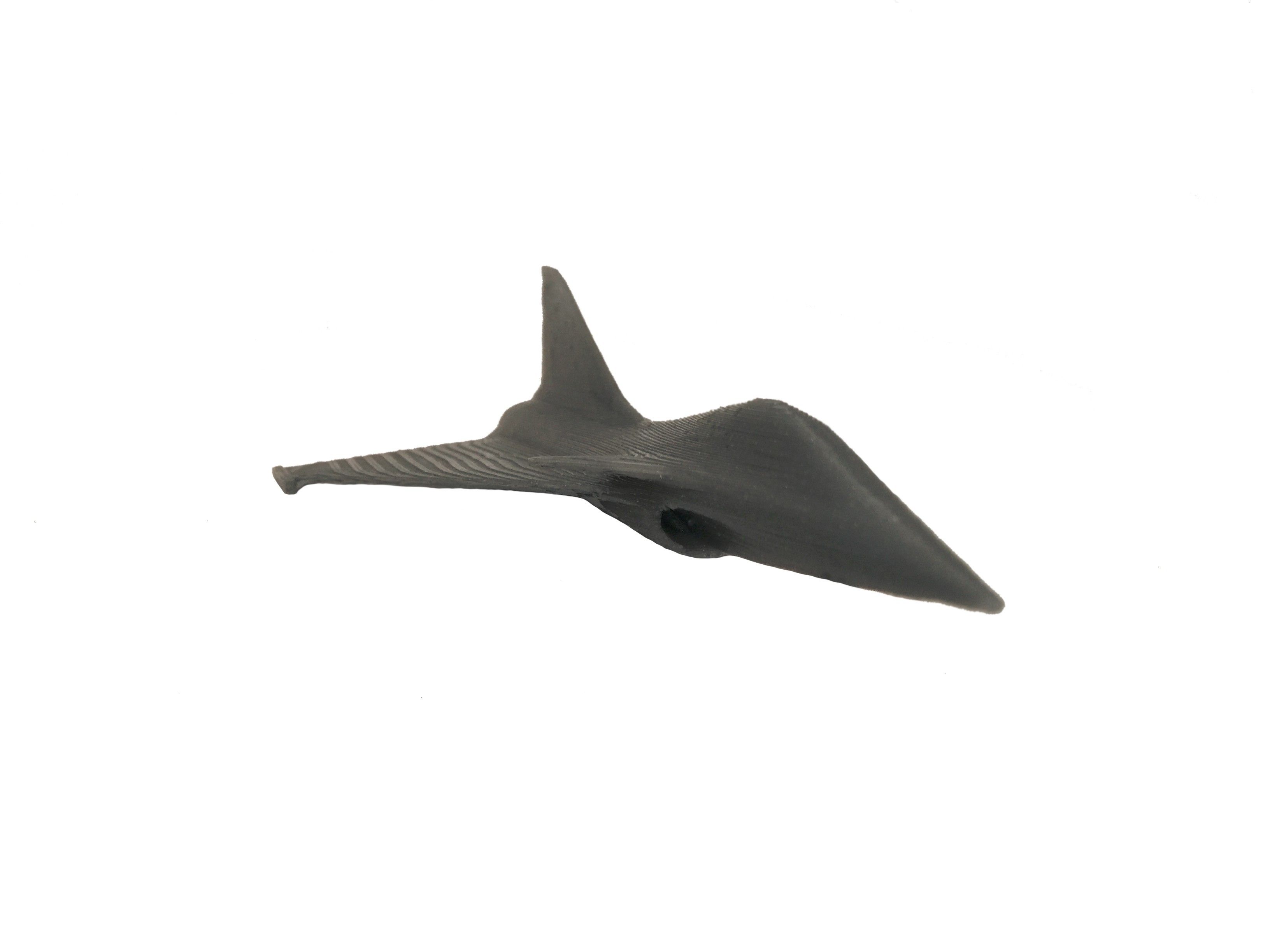 photo 1.jpg Download free STL file Rafale Aircraft • 3D printer model, Benjamin_P
