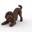bbb6.jpg Playful Barbet Dog Figure 1/32 Scale for Slot Car Dioramas