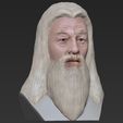 31.jpg 3D file Dumbledore from Harry Potter bust for full color 3D printing・Model to download and 3D print