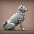 shiba-inu2.jpg shiba inu 3D print model