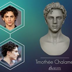 01.jpg STL file Timothee Chalamet bust sculpture 3D print model・Model to download and 3D print