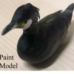 1_paint.png Bird realistic cormoran floating