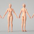 render.jpg Articulated Poseable Female Figure