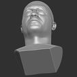 23.jpg Joe Rogan bust for 3D printing