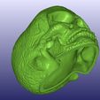 Celtic2.jpg Celtic Skull 3D Scan (Hollow)