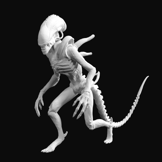 alien-warrior-1.png xenomorph warrior #3