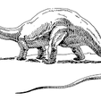 images.png Brontosaurus