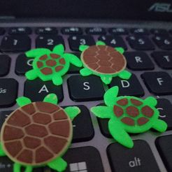 IMG_20231026_210102_970.jpg dijes de tortugas