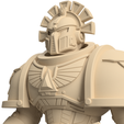 Close-up.png Modular 3D Printable Dune Raiser Leader Miniature for Wargaming - Customizable Tabletop Game Figure