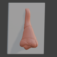 6.png 3D Nose Anatomy Model