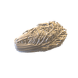 snapshot_p3d-(4).png Pekin`s Chinese cabbage 3d scan