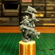 PXL_20231105_194254350-5.jpg Dwarf Rider Fantasy Miniature: Frostgrave, Pathfinder, D&D