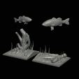 bass-R-21.png two bass scenery in underwather for 3d print detailed texture