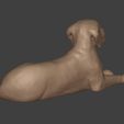 I6.jpg Dog - Labrador Statue