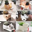 photo5118488534859229238.jpg Pack of doggie pots
