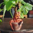 1.jpg STL file Mandrake Plant - Harry Potter・3D printer model to download