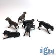 IMG_1339.jpg 032 LABRADORS x6 1:35