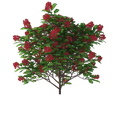 21-1.png Plants Collection 3D Model Flowers And Tree Home Decor 21-24