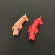 IMG_3317.jpg Free STL file Articulating Weiner Dog・3D printable design to download