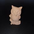 20190810_125735.jpg STL file 3 owl models (scan with phone, process with (recap photo) on pc)・3D printable model to download